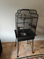 Kooi te koop, Dieren en Toebehoren, Vogels | Hokken en Kooien, Ophalen, Gebruikt, Metaal, Vogelkooi