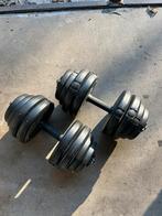 Dumbbells, Sport en Fitness, Fitnessmaterialen, Ophalen, Gebruikt, Dumbbell