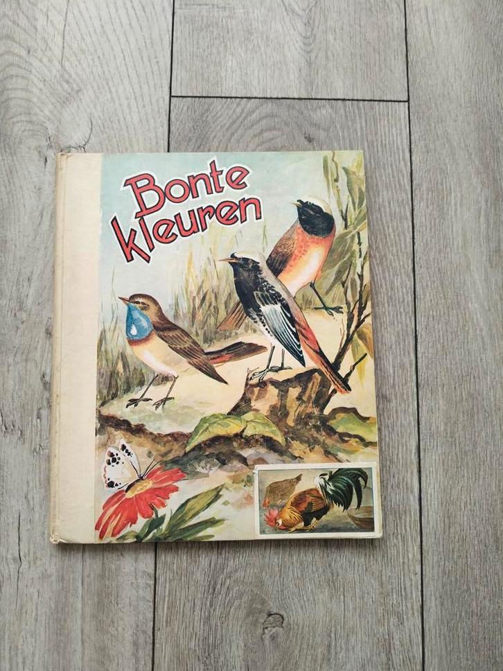 Plaatjesalbum: Bonte Kleuren 1925, Boeken, Prentenboeken en Plaatjesalbums, Gelezen, Plaatjesalbum, Ophalen of Verzenden