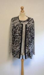 twinset Rabe, Kleding | Dames, Truien en Vesten, Rabe, Overige kleuren, Maat 46/48 (XL) of groter, Ophalen of Verzenden