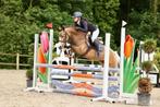 C pony, kinderpony, springpony, Dieren en Toebehoren, Pony's, Springpony, C pony (1.27m tot 1.37m), 7 tot 10 jaar, Merrie