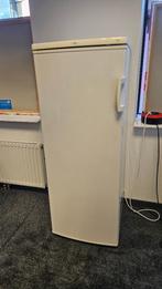 Grote koelkast, Ophalen, Zonder vriesvak, 200 liter of meer, 60 cm of meer