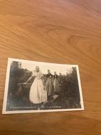 Oude foto Walchersche klederdracht, Gebruikt, Verzenden, Foto, Klederdracht