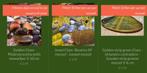 Diverse zoetwater mosselen ter zuivering, Dieren en Toebehoren, Slak of Weekdier, Zoetwatervis