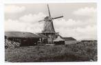 WESTZAAN - Molen - K. Tanger - Reproductie, Verzenden, Ongelopen, Noord-Holland