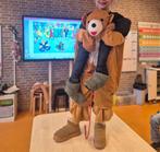 Honden kostuum carnaval, Ophalen of Verzenden, Zo goed als nieuw, 134 t/m 140, Jongen of Meisje