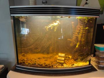 Zeer stevig en degelijk aquarium 180L  beschikbaar voor biedingen