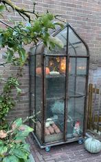 Druivenkas /greenhouse 70 cm, Ophalen, Glas, Zo goed als nieuw, Overige materialen