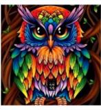 diamond painting full., Hobby en Vrije tijd, Ophalen of Verzenden, Nieuw, Knutselwerk