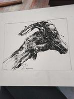 Boomwortel Tekening - Bonatti, Ophalen of Verzenden