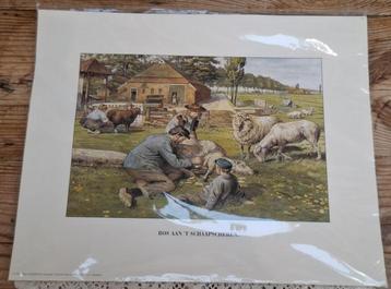 Ot en Sien prent, Bos aan 't Schaapscheren, schapen prent beschikbaar voor biedingen