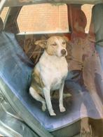 Autodeken Waterproef Bescherminghoes Achterbank 150 x 140 cm, Dieren en Toebehoren, Honden-accessoires, Verzenden, Nieuw