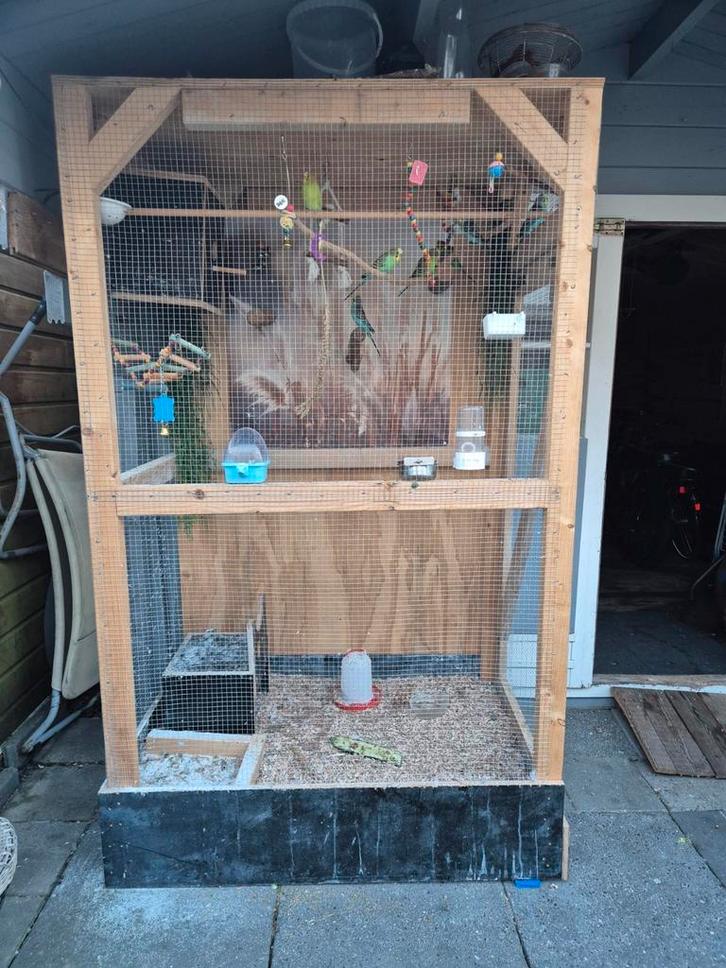 Vogel voliere  met  inhoud, Dieren en Toebehoren, Vogels | Hokken en Kooien, Zo goed als nieuw, Volière, Ophalen of Verzenden