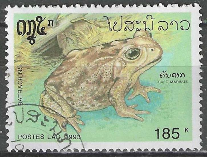 Laos 1993 - Yvert 1079 - Kikkers - Bufo marinus (ST), Postzegels en Munten, Postzegels | Azië, Gestempeld, Zuidoost-Azië, Verzenden
