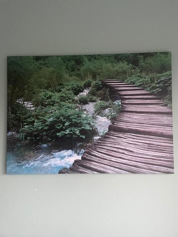 Schilderij op canvas doek 84 x 116 cm beschikbaar voor biedingen