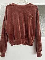 Hunkemöller Velvet Trui - Maat XS, Ophalen of Verzenden, Gedragen, Maat 34 (XS) of kleiner, Bruin