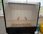 TT kooien met voerbakjes en drinkflesjes, Dieren en Toebehoren, Vogels | Hokken en Kooien, Ophalen, Gebruikt, Hout, Vogelkooi