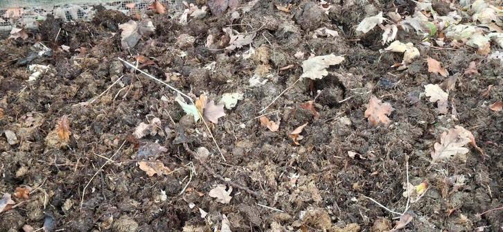 Verse paardenmest, Tuin en Terras, Aarde en Mest, Mest, Ophalen