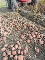 Bildtstar aardappelen, Diversen, Levensmiddelen, Ophalen