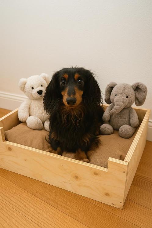 Houten hondenmand / opbergbak met kussen – stoer & uniek, Dieren en Toebehoren, Hondenmanden, Zo goed als nieuw, Overige, Ophalen