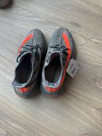 Yeezy Boost 350 v2 nieuw, Overige kleuren, Nieuw, Ophalen of Verzenden, Sneakers of Gympen