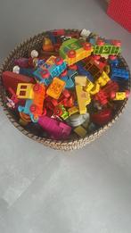 Grote partij Duplo, Kinderen en Baby's, Speelgoed | Duplo en Lego, Ophalen of Verzenden, Gebruikt, Losse stenen, Duplo