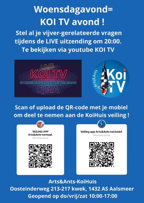 Japanse koi veiling, Dieren en Toebehoren, Vissen | Vijvervissen, Karper of Koi