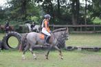 Lieve knappe allround C pony L springen & L Dressuur, Dieren en Toebehoren, Pony's, Gechipt, Ruin, 11 jaar of ouder, L