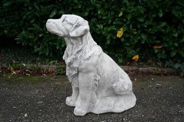 golden retriever tuinbeeld beschikbaar voor biedingen