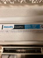 Philips CorePro LED TL buis 60cm 8W Nieuw, Ophalen of Verzenden, Nieuw, Minder dan 50 watt, Lamp