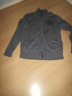 vest van ANGELO LITRICO MAAT M, Ophalen of Verzenden, Zo goed als nieuw, Maat 48/50 (M), Grijs
