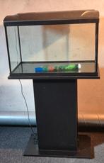 Aquarium 49x31x38cm met toebehoren, Dieren en Toebehoren, Ophalen, Zo goed als nieuw, Leeg aquarium