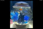 Biorb aquarium 30 liter met alle toebehoren, Ophalen, Gebruikt, Leeg aquarium
