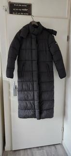 Superdry gewatteerde jas - waterdicht, Superdry, Ophalen of Verzenden, Zo goed als nieuw