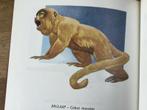 Zie en ken, alle wilde dieren der aarde, 1957, Ophalen of Verzenden, Gelezen, Natuur algemeen