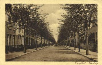 Oranjelust - Voorburg - gelopen beschikbaar voor biedingen