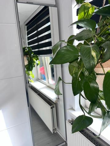 2 Witte Kledingkasten met Spiegeldeur beschikbaar voor biedingen