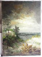 Olieverf G.J. Ernens - Meeuwen boven zee, Ophalen of Verzenden