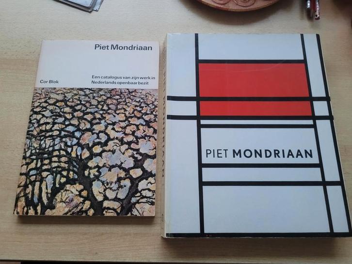Mondriaan boeken, Boeken, Kunst en Cultuur | Beeldend, Zo goed als nieuw, Ophalen of Verzenden