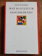 Wat is cultuurgeschiedenis? - Peter Burke, Ophalen of Verzenden, 20e eeuw of later, Peter Burke