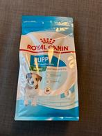 Puppy mini royal canin, 800 gr, Ophalen, Hond