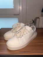 Cole Buxton Wilson - Maat 44 - Amper gebruikt, Kleding | Heren, Ophalen of Verzenden, Zo goed als nieuw, Wit, Sneakers of Gympen