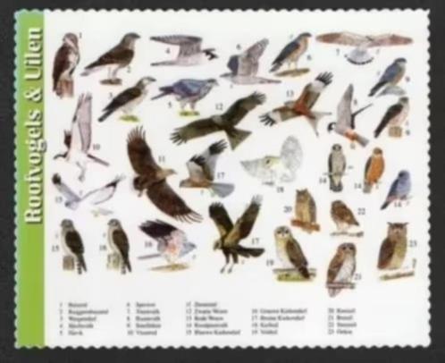 Roofvogels Uilen Buizerd Sperwer Wouw Kerkuil Bosuil Oehoe., Verzamelen, Ansichtkaarten | Dieren, Ongelopen, 1980 tot heden, Vogel