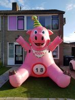 Sarah feestvarken te huur!, Ophalen, Zo goed als nieuw, Abraham of Sarah