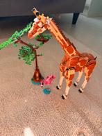 Lego Creator 3 in 1 Safari dieren, Ophalen of Verzenden, Zo goed als nieuw