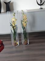 2 glazen vazen met kunst orchideeën, Zo goed als nieuw, Ophalen