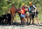 Oppas hond gezocht: voor een maand ras Labrador Retrever, Dieren en Toebehoren, Ophalen of Verzenden