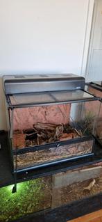 Exoterra terrarium, Ophalen, Zo goed als nieuw, Terrarium of Paludarium