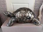 schildpad (groot model), Nieuw, Ophalen
