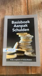 Nadja Jungmann - Basisboek aanpak schulden, Sociale wetenschap, Ophalen of Verzenden, Zo goed als nieuw, Nadja Jungmann; Tamara Madern
